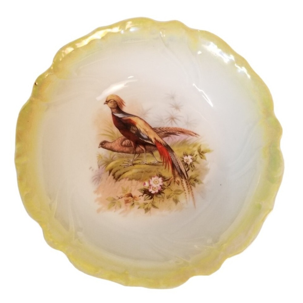 Vintage Porcelain RCW Bavaria Serving Bowl Pheasant Game Bird Yellow Lustreware
